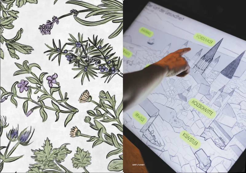 Doppelseite: links eine Illustration von Lavendel und Wacholder, rechts ein Foto der Medienstation &raquo;Der Gart der Gesundheit&laquo;