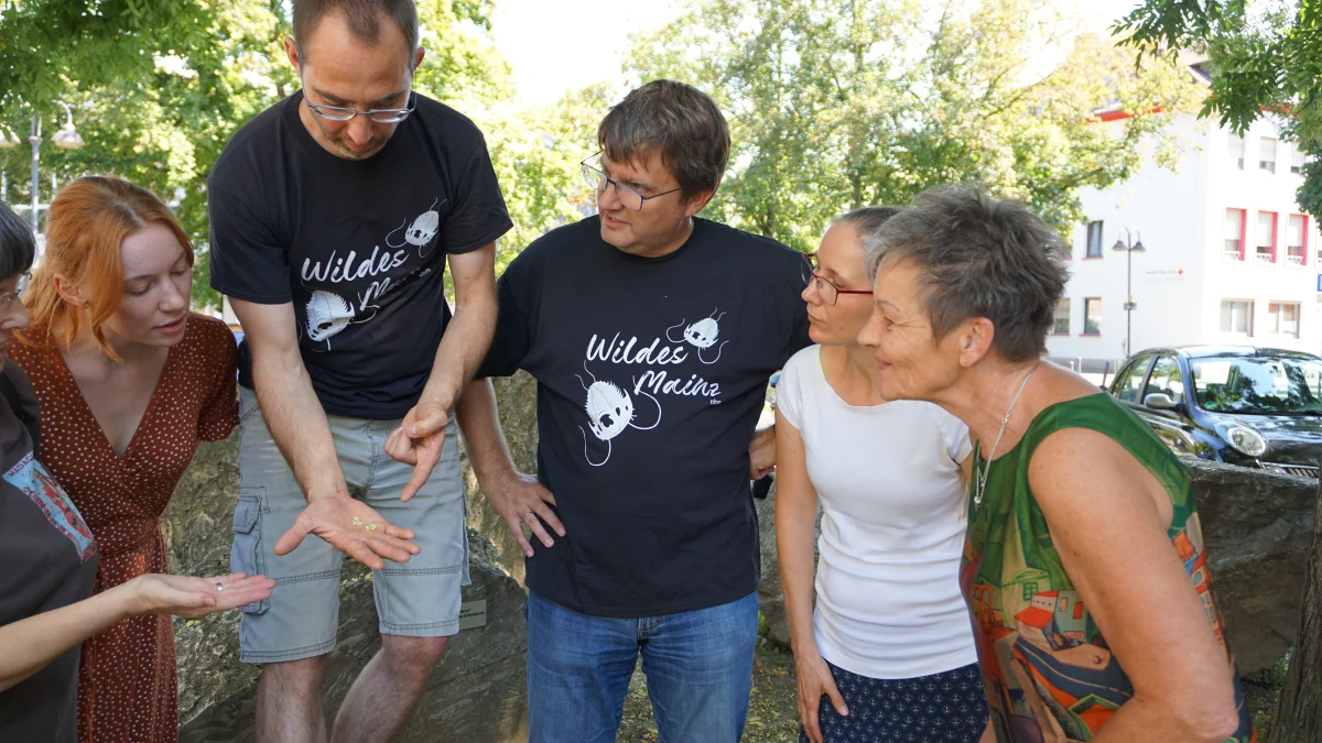 FLORA trifft Wildes Mainz: Stadtspaziergänge mit Naturexperten des Naturhistorischen Museums